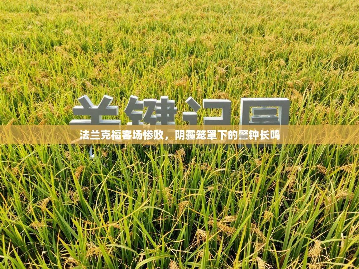 法兰克福客场惨败,阴霾笼罩下的警钟长鸣 第2张