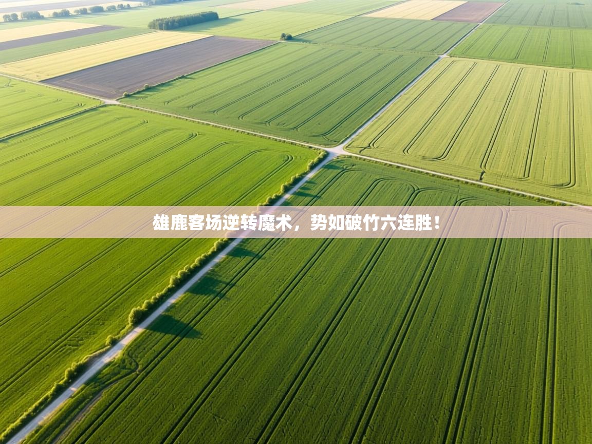 雄鹿客场逆转魔术,势如破竹六连胜! 第1张