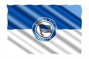 开云体育亚洲官网-弗赖堡主场击败对手，继续德甲积分榜上升，德甲弗赖堡对美因茨