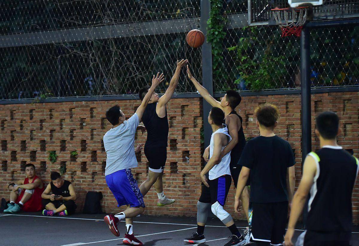 篮球运动技战术见长，球员表现斐然